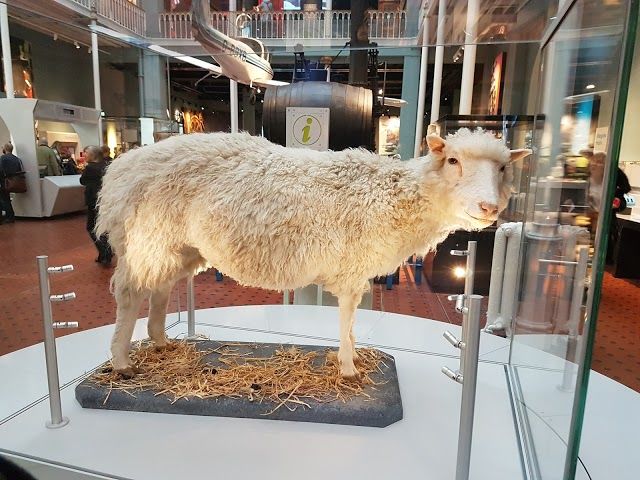 Museum of Scotland